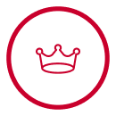 icon 1